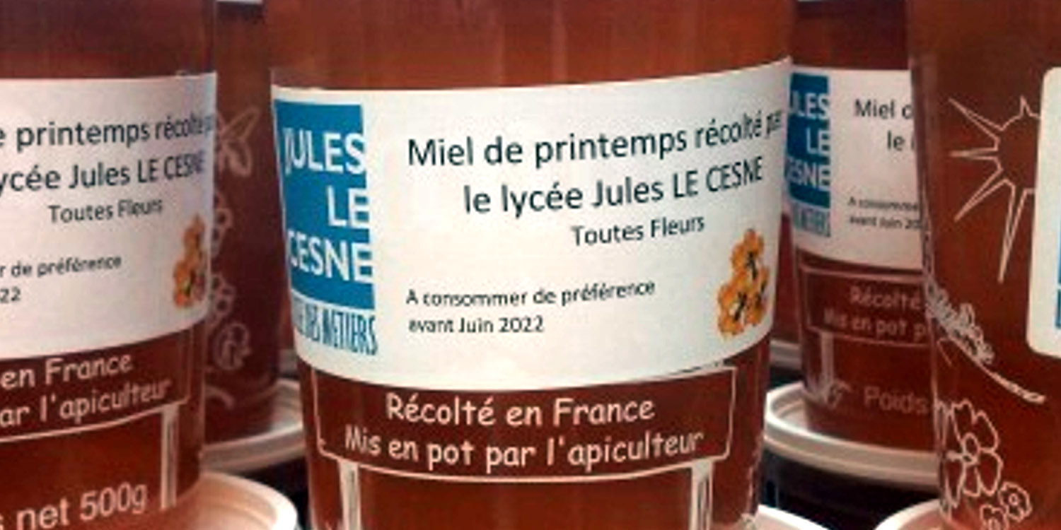 La Ruche du Lycée Jules Le Cesne